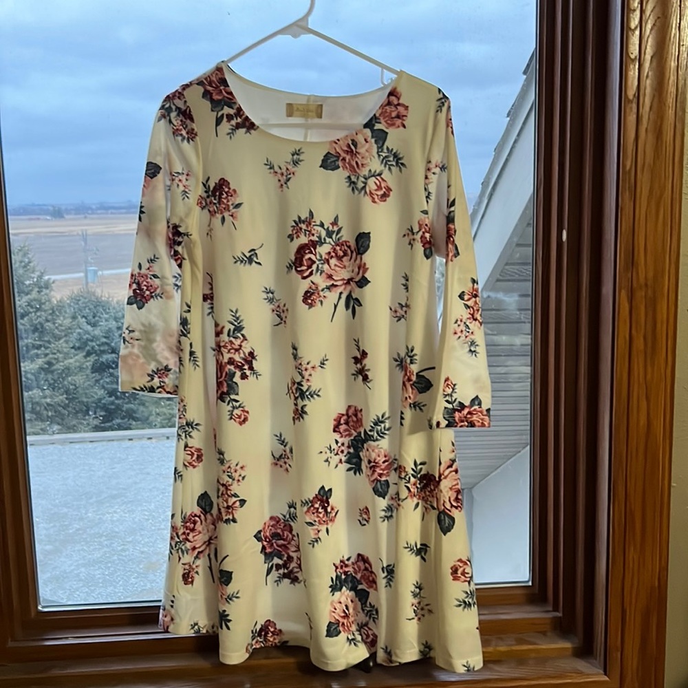 Altar’d State 3/4 sleeve dress.